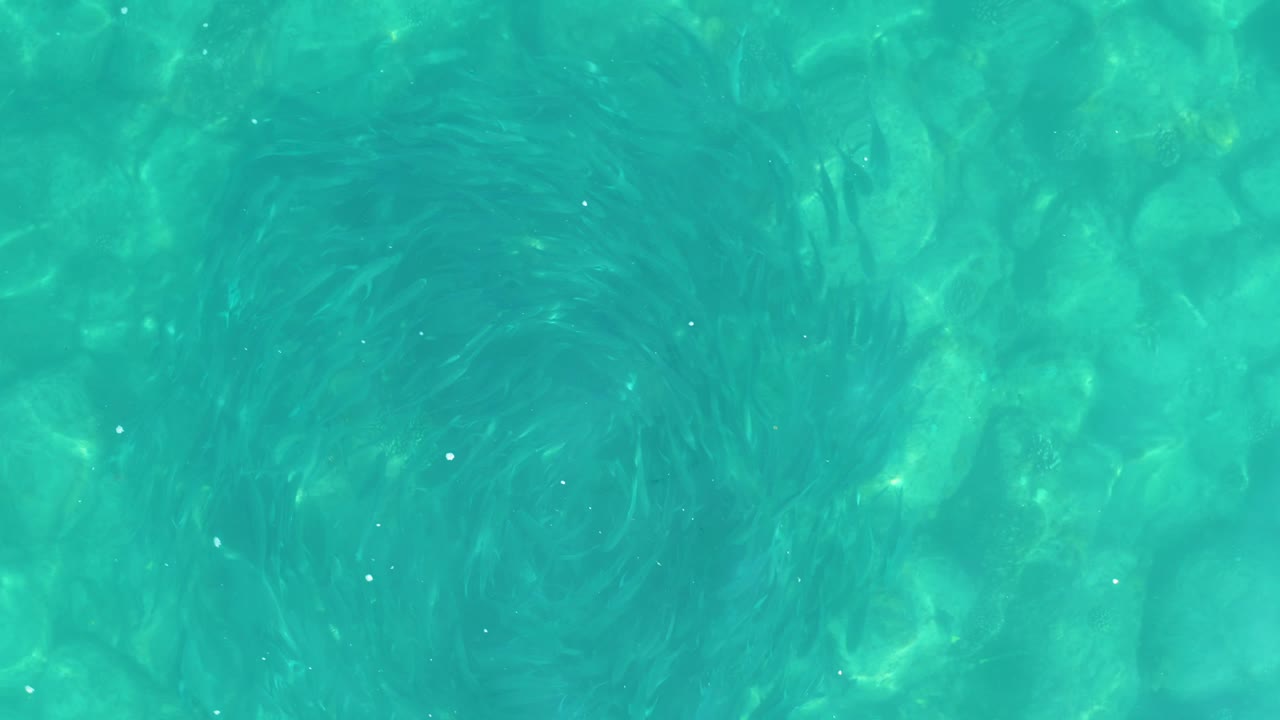 At 0:02, a darker circular fish formation sits below the rippled turquoise surface, with mottled seafloor detail visible and no visible people.