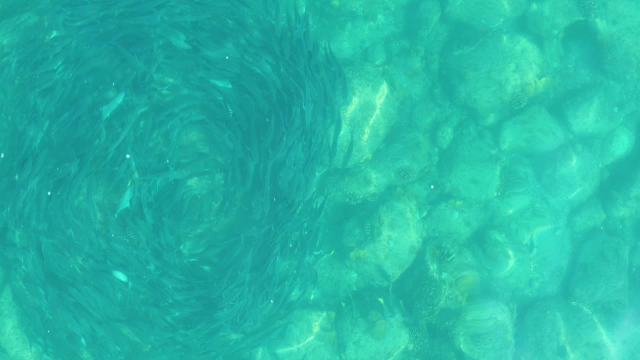 At 0:00 in Los Frailes, Los Cabos, turquoise water reveals rocky ocean floor and several dark spirals of small fish, with no visible people.