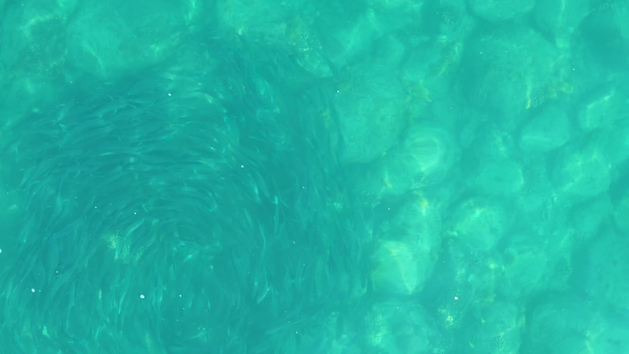 Clear blue-green water at Los Frailes, Los Cabos shows submerged stones and darker underwater patches, with no visible people.