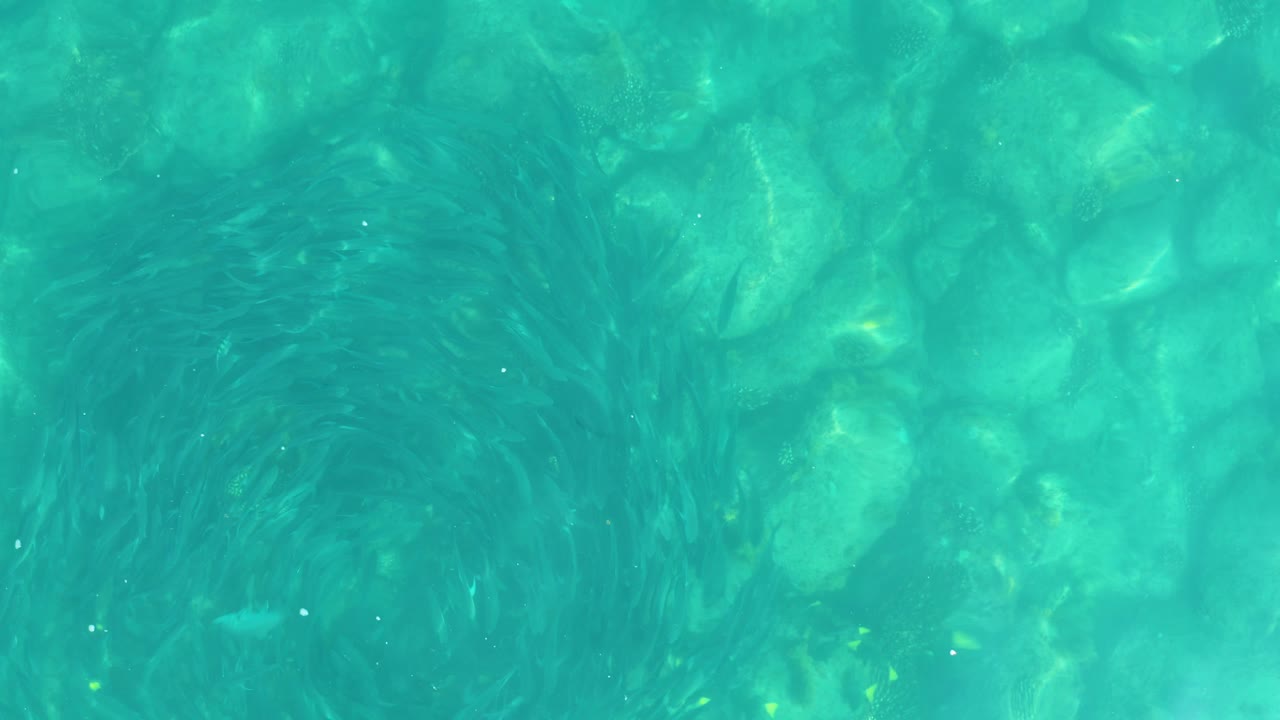 Blue-green water fills the frame at Los Frailes, Los Cabos, with a visible rocky bottom and darker soft-edged underwater shapes, and no visible people.