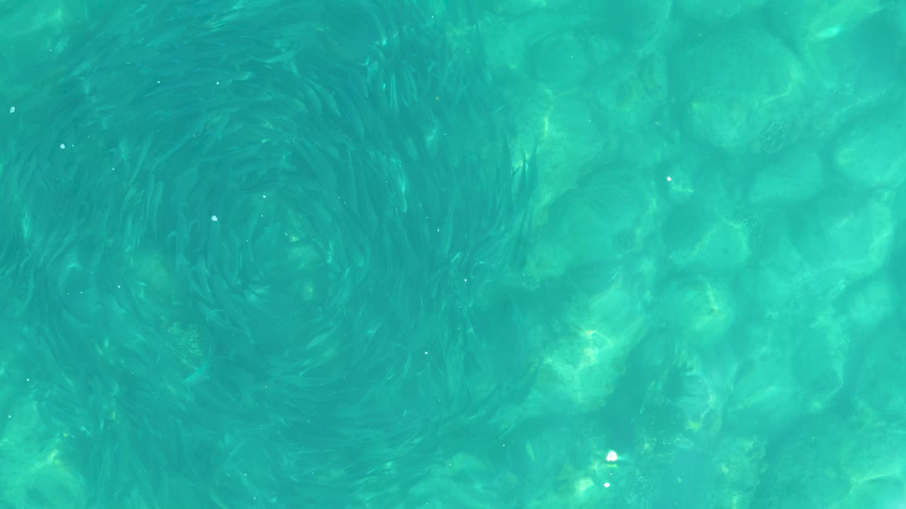 Clear turquoise water with a dark circular vortex over rocks.