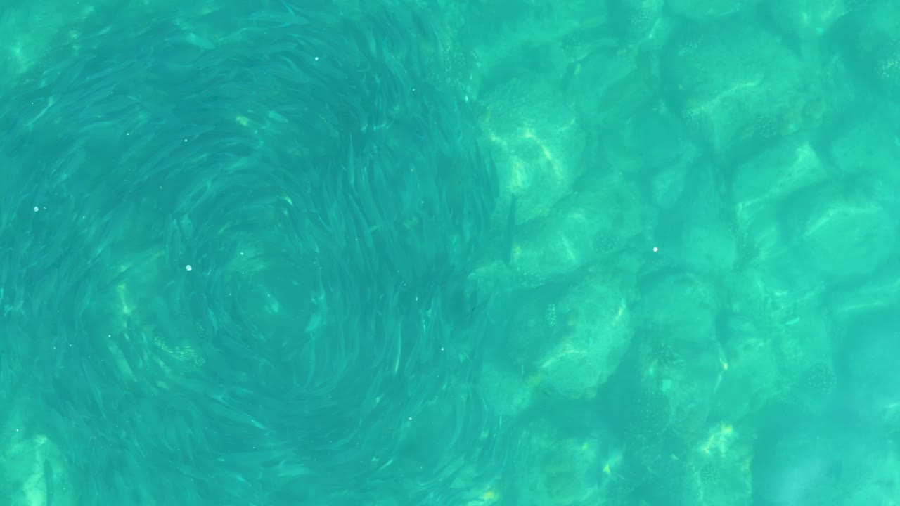 Midway through the clip, blue-green water fills the frame with pale rocks below, shifting light patches, and a faint circular swirl in the surface texture, with no visible people.