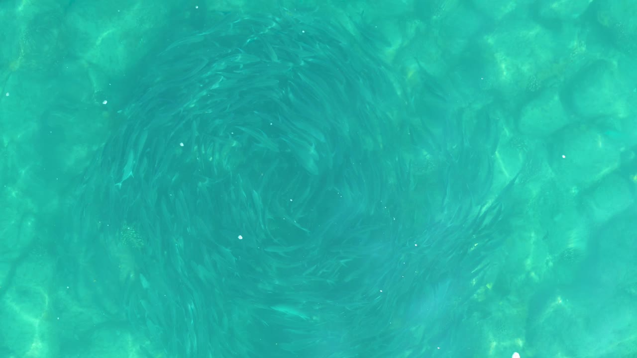 Turquoise pool water with a circular vortex pattern