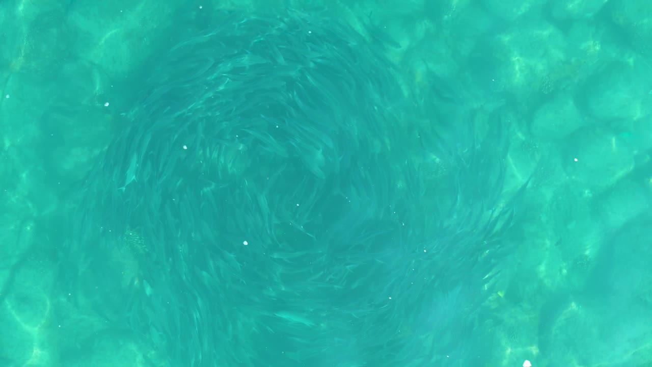 Top-down Los Frailes pool-water frame with the circular swirl centered toward the upper middle, green-blue ripples, and the underwater stone or tile pattern showing through, no visible people.
