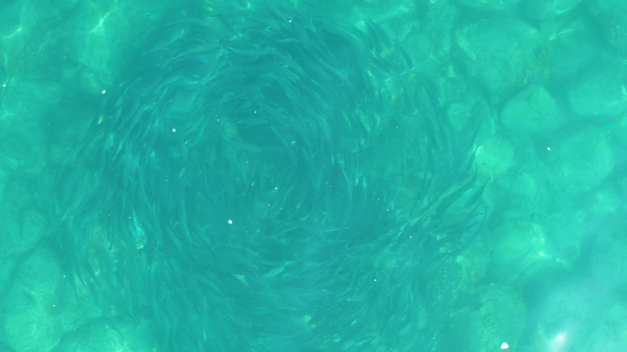 Overhead view of blue-green swimming pool water in Los Frailes, with a darker whirlpool shape near the upper right and bright flecks on the surface, no visible people.