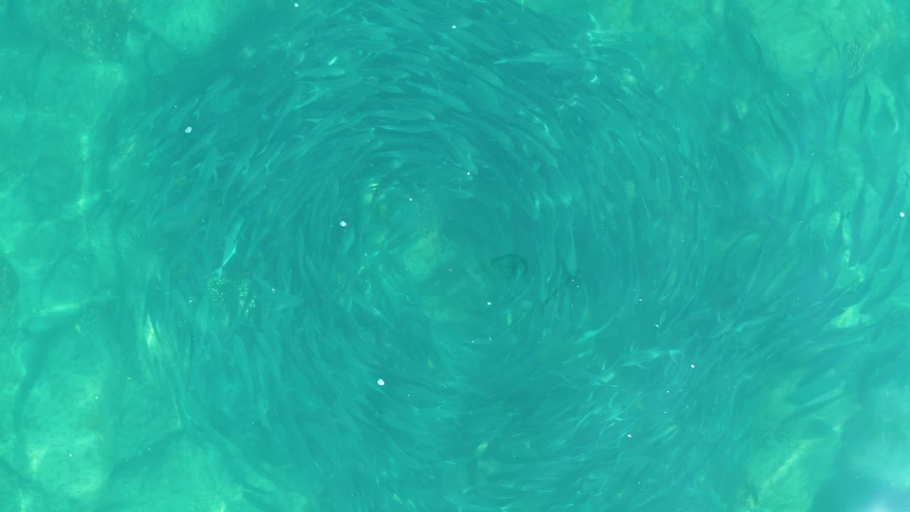 Turquoise water with a dark circular swirl pattern.