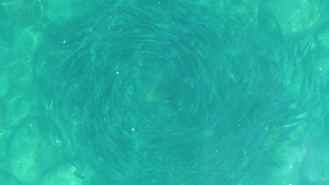 Blue-green underwater view at Los Frailes, Los Cabos, where the circular current appears softer but still visible, with no visible people.