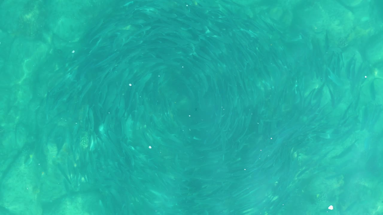 Turquoise Los Frailes water fills the frame with a faint central swirl and scattered bright flecks, with no visible people.
