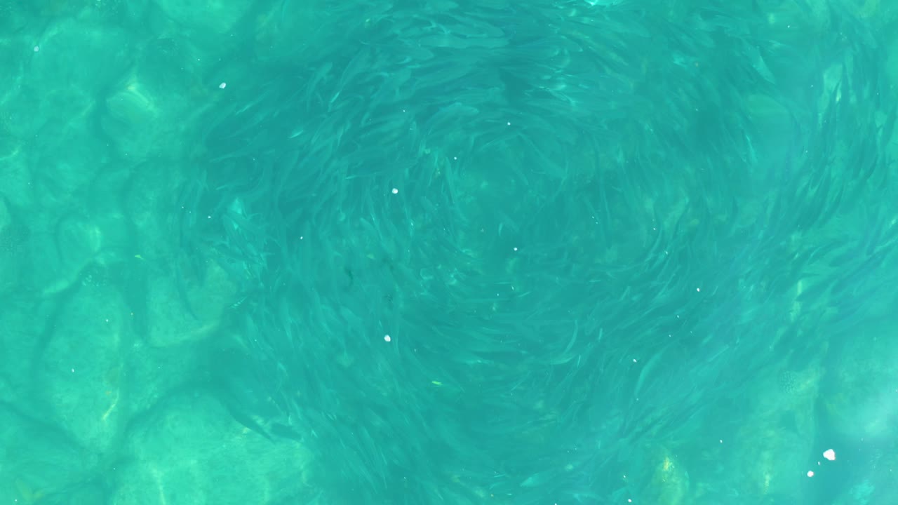 At 0:02, the Los Frailes overhead view shows multiple dark fish spirals below the rippled turquoise surface, with pale sand visible underneath and no visible people.