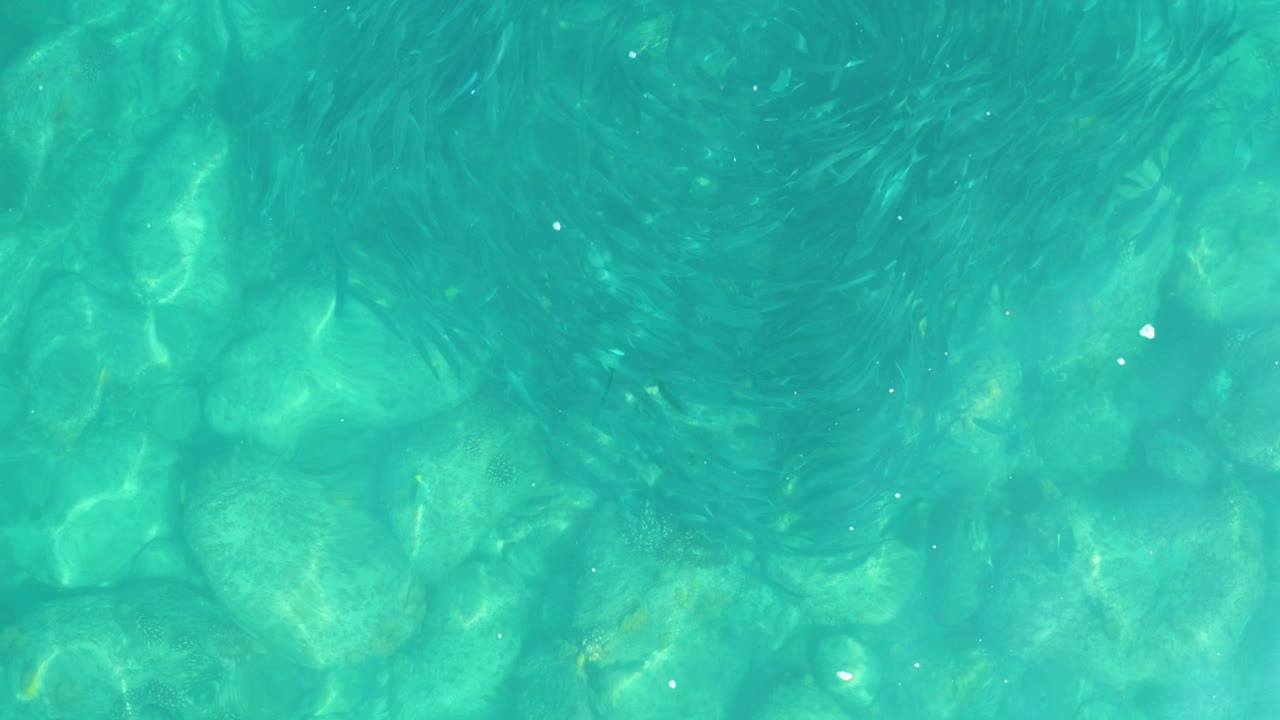 Turquoise shallow water over pale rocks
