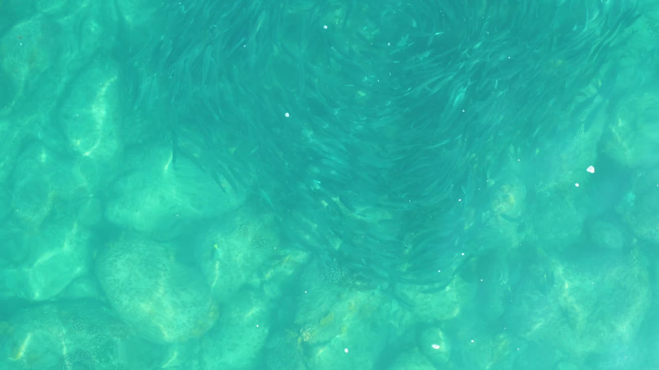 Shallow turquoise water in Los Frailes shows pale stones beneath faint surface ripples, with no visible people or built structures.