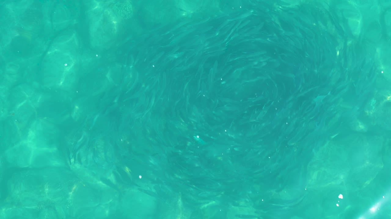 Turquoise pool water with ripples and light patterns.