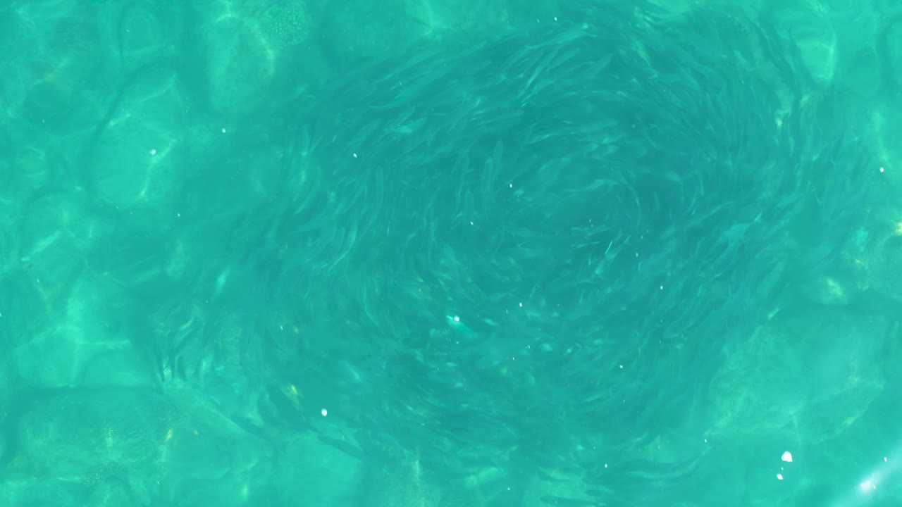Blue green swimming pool water in Los Frailes Los Cabos, Mexico, shows denser ripple lines near the upper area and no visible people.
