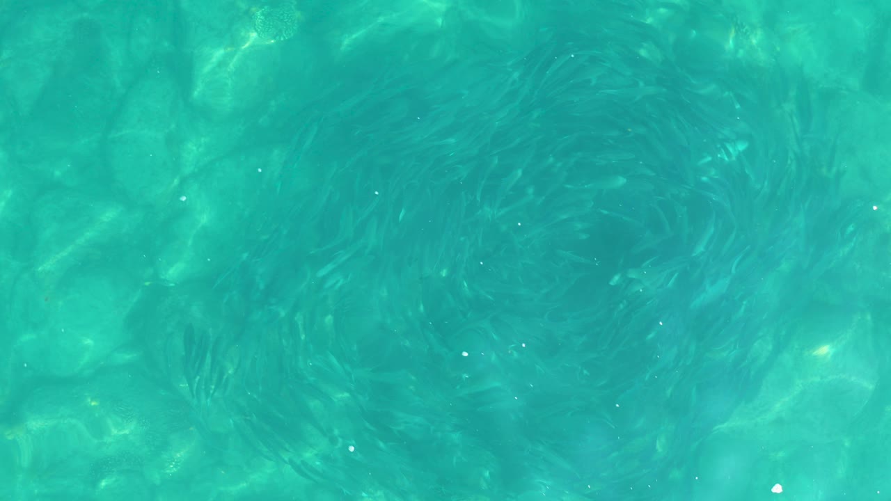 Clear turquoise pool water in Los Frailes Los Cabos, Mexico, contains brighter light flecks and soft surface distortion, with no visible people.