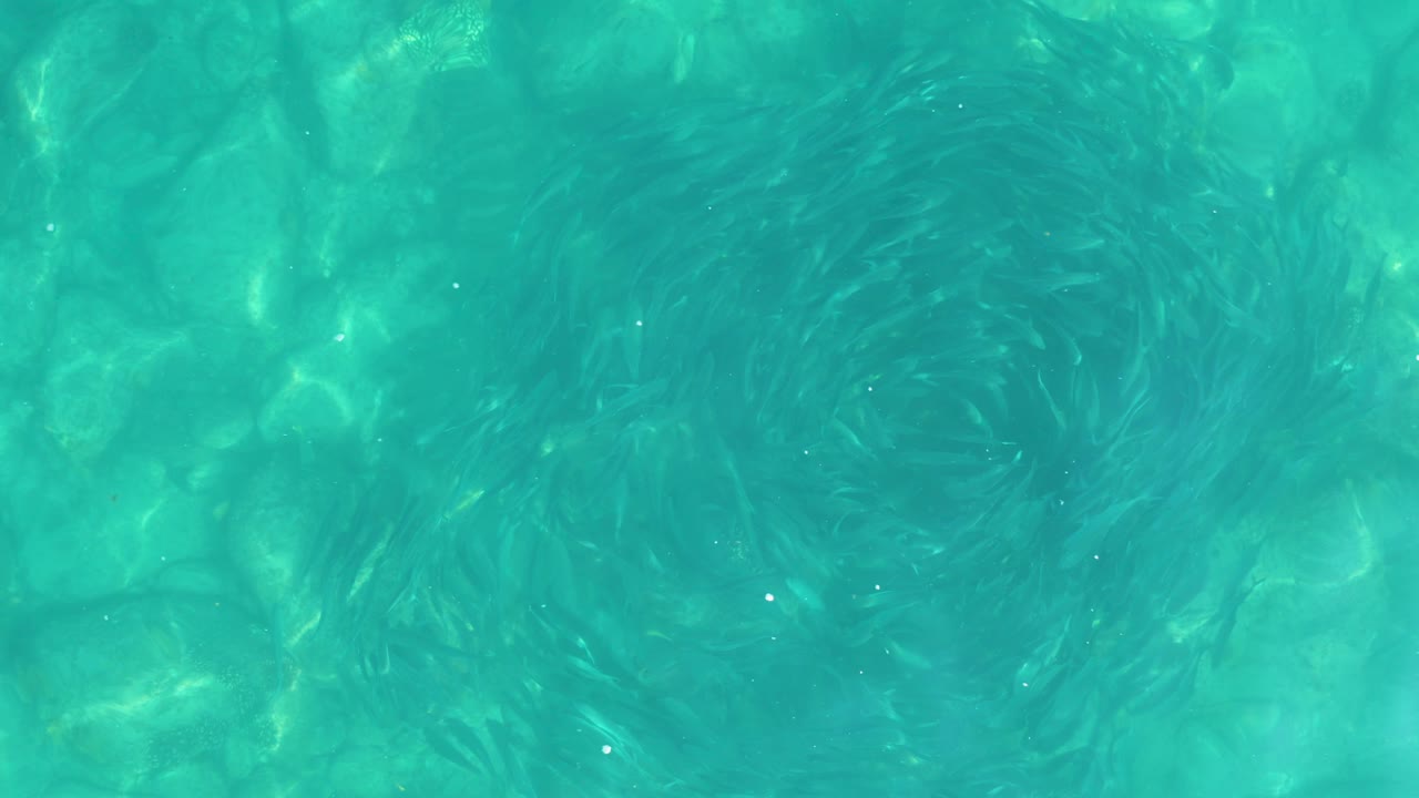 Overhead pool water in Los Frailes Los Cabos, Mexico, shows darker curved ripple patterns over the light bottom and no visible people.