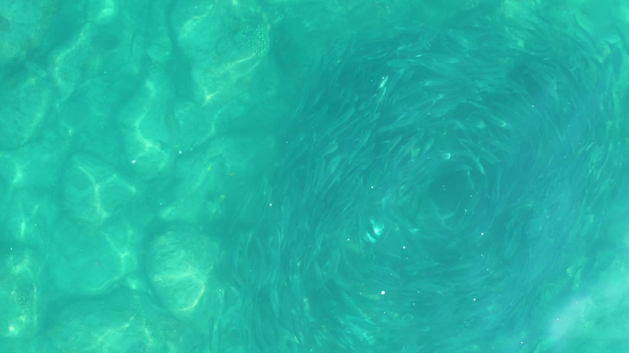 Overhead view of clear turquoise water in Los Frailes, Baja California Sur, with a dark circular vortex over pale submerged rocks and no visible people.