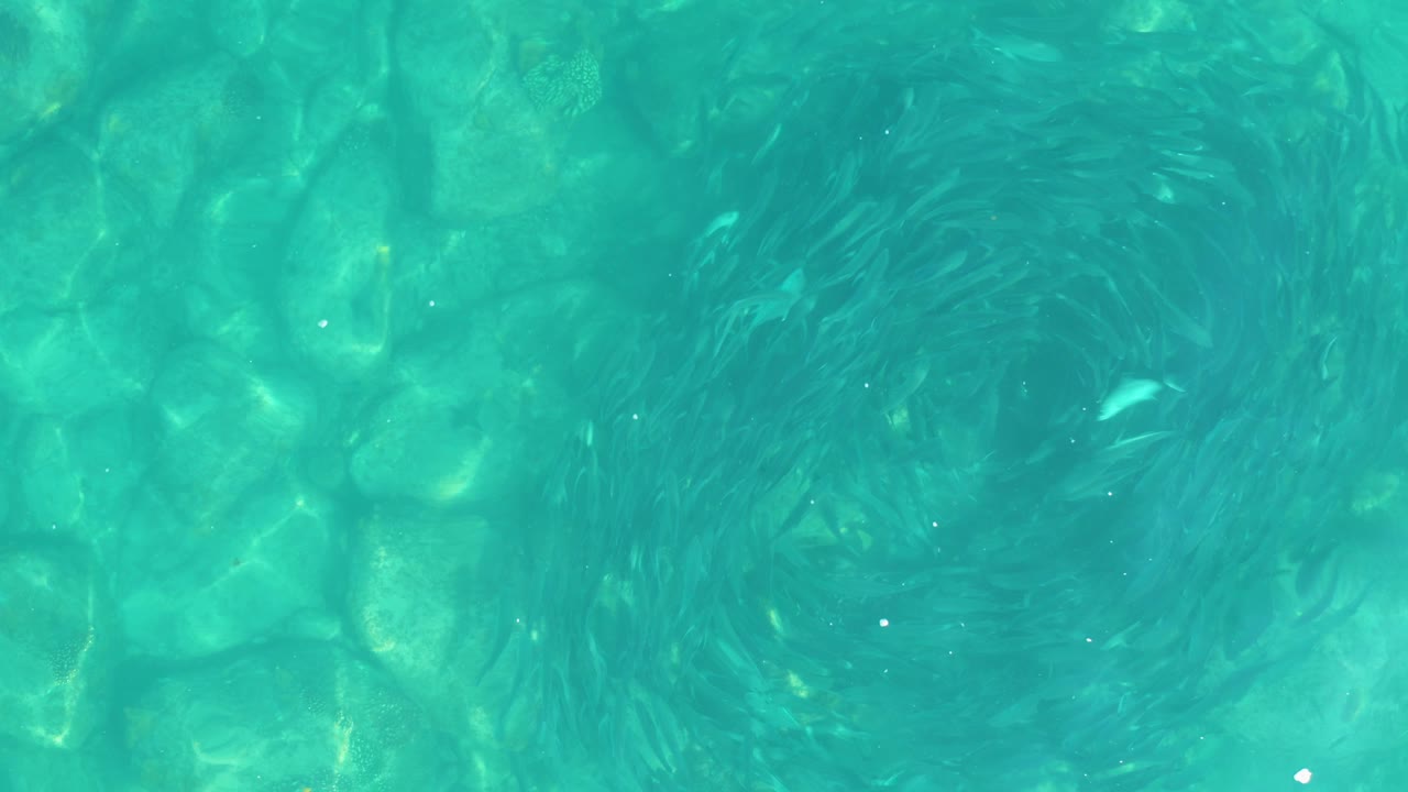 The water surface forms a darker circular whirlpool against bright turquoise shallows, with underwater rocks visible through the frame and no visible people.
