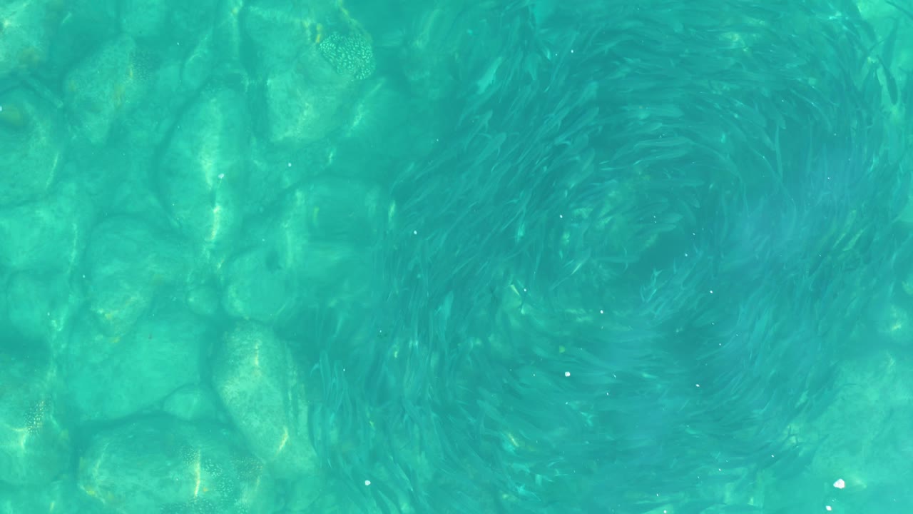 Centered vortex over clear rocky shallows.