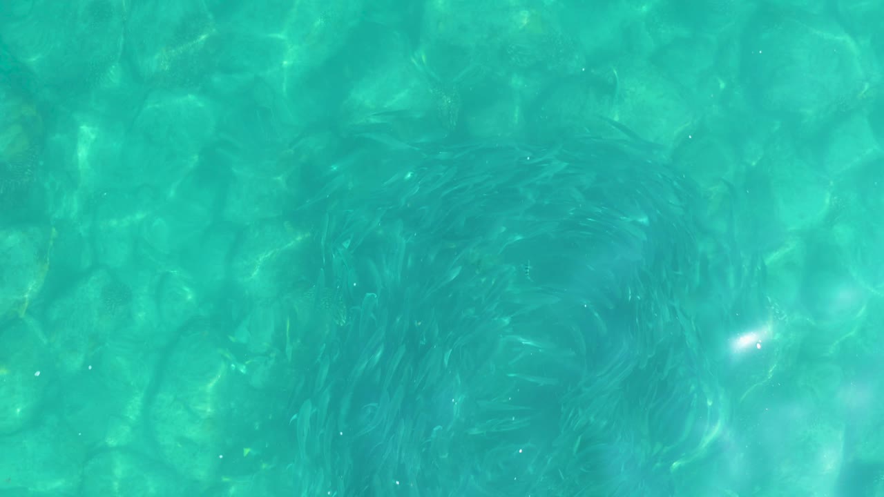 A small fish school remains visible under brighter turquoise surface ripples, with rounded rocks filling the frame and no shoreline or people visible.