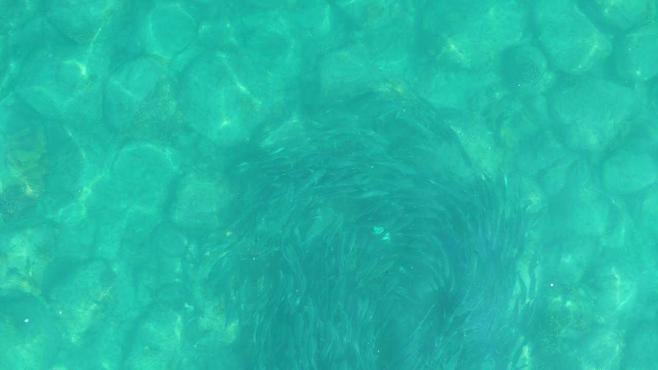 Turquoise water over stones with a dark submerged plant patch.