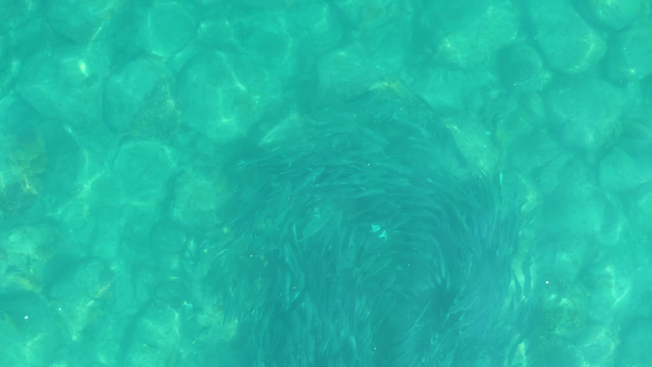 Clear blue-green water in Los Frailes, Baja California Sur, reveals rounded stones and a darker feathery plant area slightly lower in the frame, with no visible people.