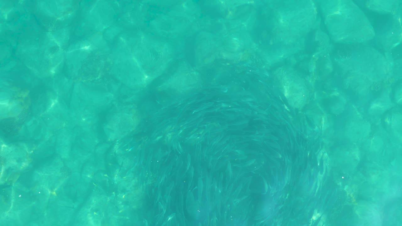 Shallow turquoise water in Los Frailes, Baja California Sur, shows a soft dark submerged plant shape across the lower middle of the stone bottom, with no visible people.