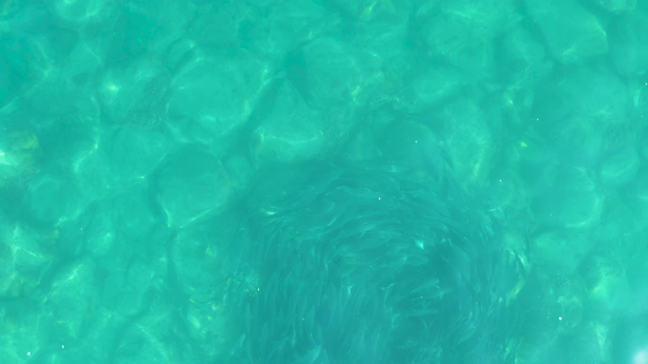 Turquoise water in Los Frailes, Baja California Sur, covers rounded stones with faint dark plant detail near the lower left and shifting surface light, with no visible people.