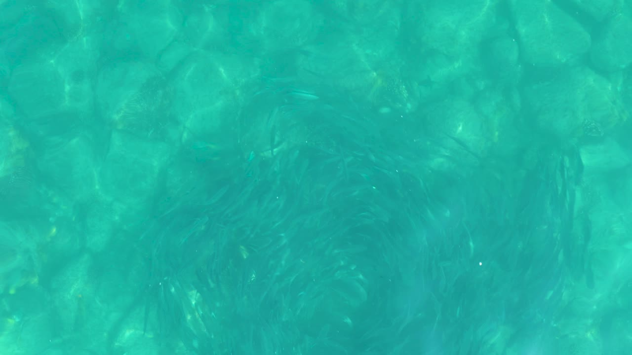 Overhead view of clear turquoise water in Los Frailes, Baja California Sur, with rocky bottom texture and dark fish schools visible beneath the surface, no visible people.