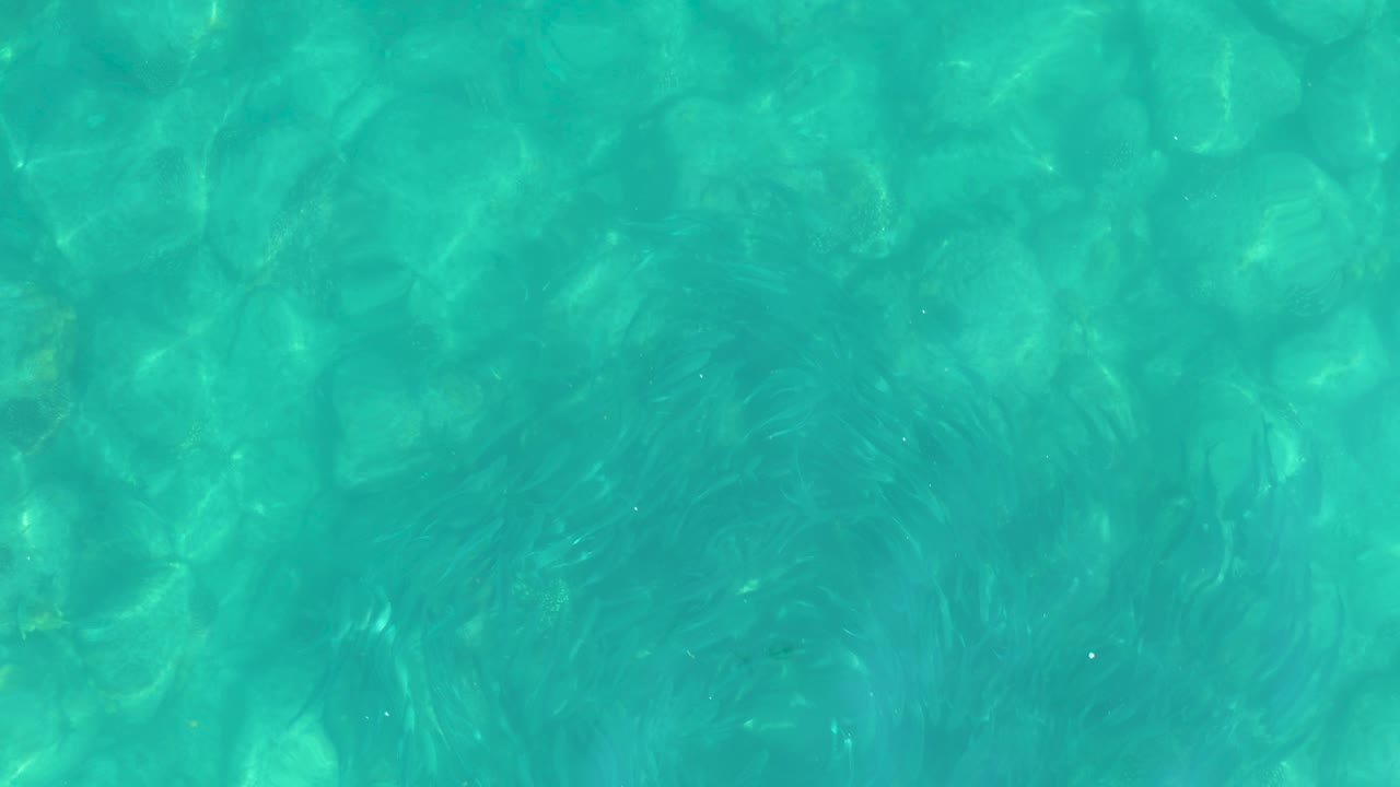 Turquoise water in Los Frailes shows wavering sunlight, pale rock shapes, and several dark schools of small fish spread across the frame, no visible people.