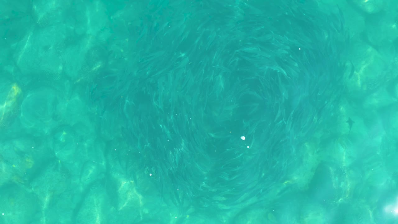 Turquoise shallow water over pale rocks with a circular current pattern.
