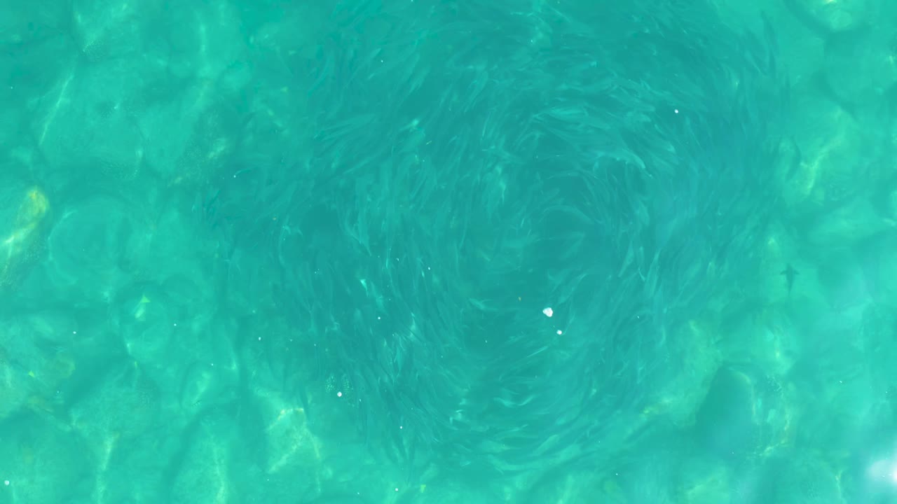 Clear turquoise water at Los Frailes, Los Cabos, showing submerged stones and a darker circular swirl slightly left of center, no visible people.