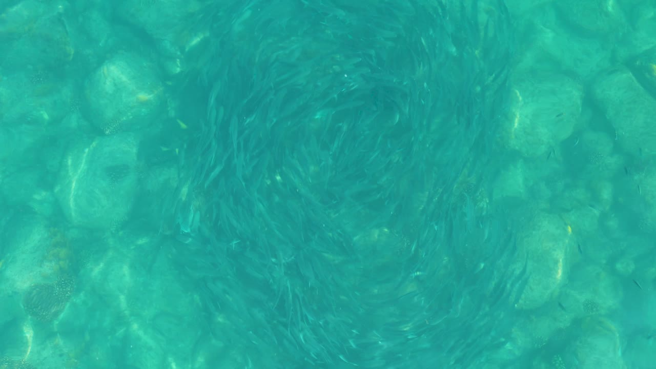 A circular pattern of small fish appears near the center of the Los Frailes water frame, with pale rocks and refracted sunlight visible below, and no visible people.