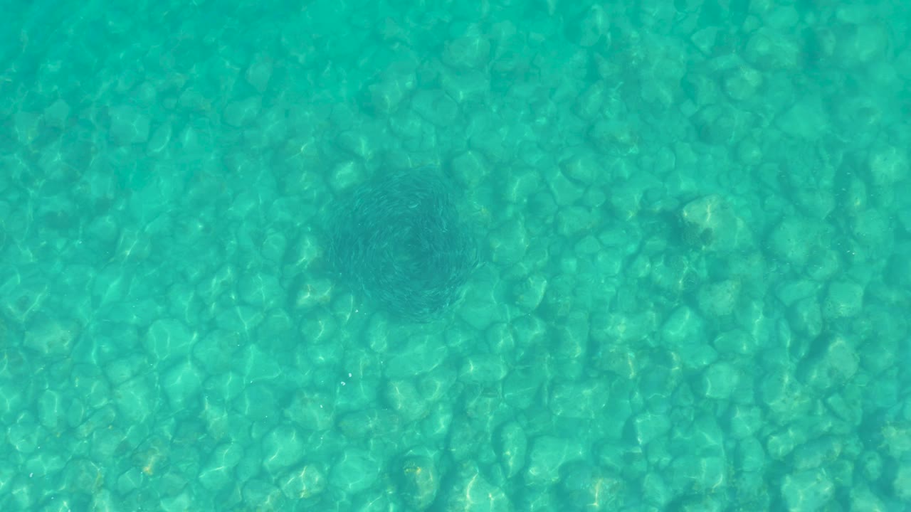 Opening frame at Los Frailes shows clear turquoise water over a pale pebble bed, with a compact dark school of fish near the upper right and no visible people.