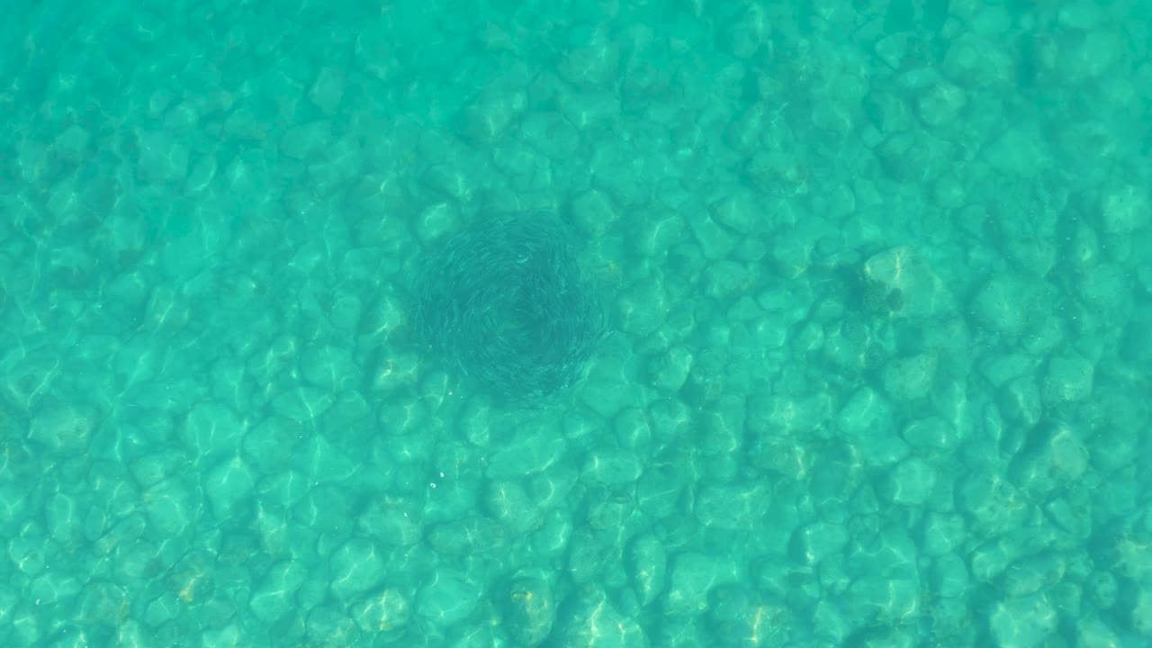 Pebble-bottom turquoise water with a faint circular fish school near the upper center.