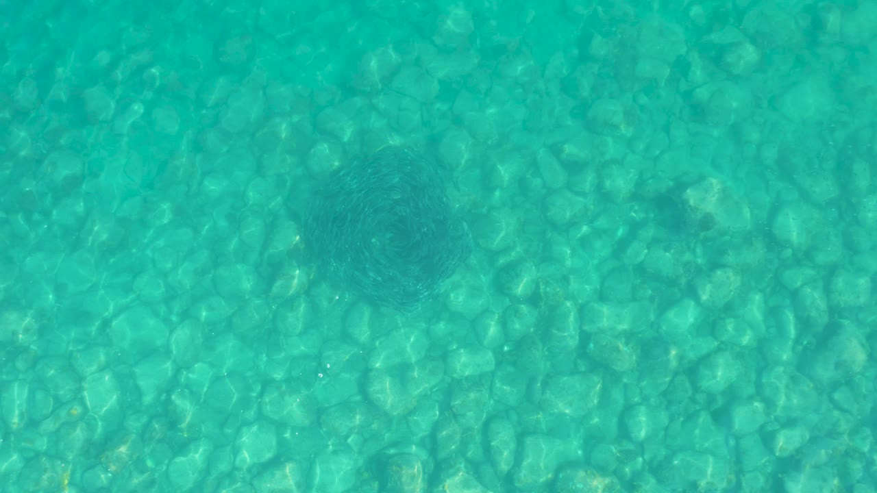 At 0:02, clear water at Los Frailes reveals rounded stones below and a darker fish school gathering near the upper right, with no visible people.