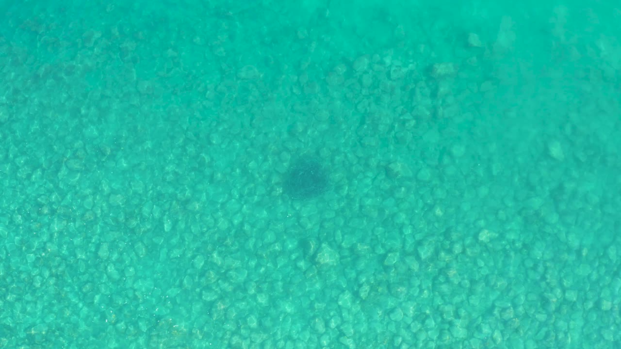 A small dark fish is visible over the rocky seabed in clear turquoise water at Los Frailes, Baja California Sur, with no visible people.