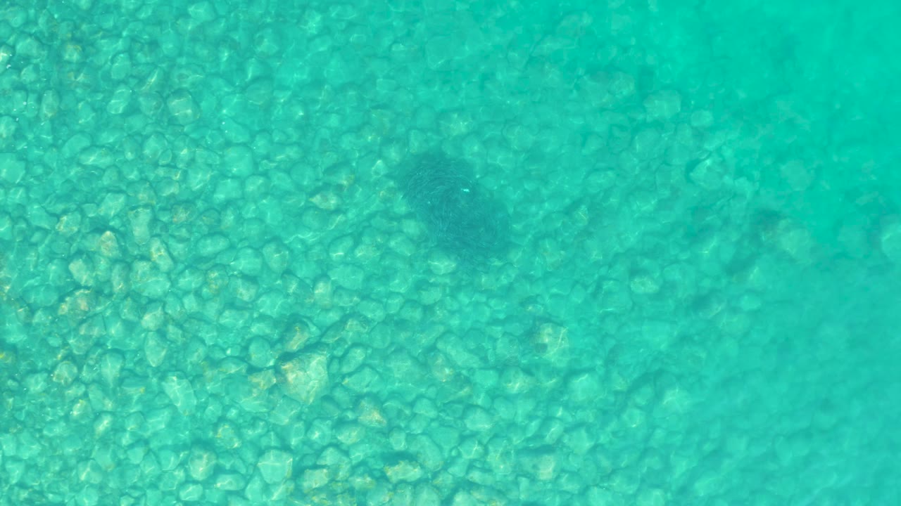 Turquoise shallow water over a pebbly seabed with a small dark fish near the upper right.