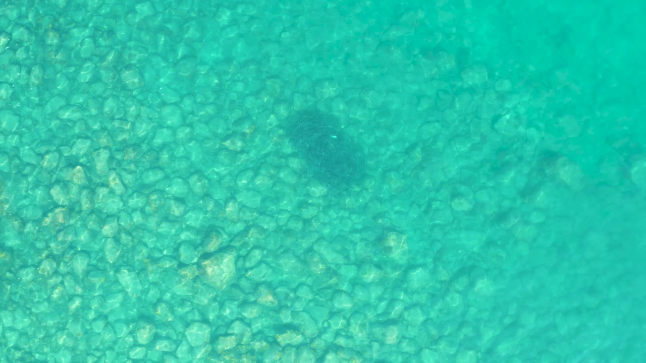 At 0:01, the Los Frailes water remains clear over the rocky seabed, with the small fish still visible near the upper right and no visible people.