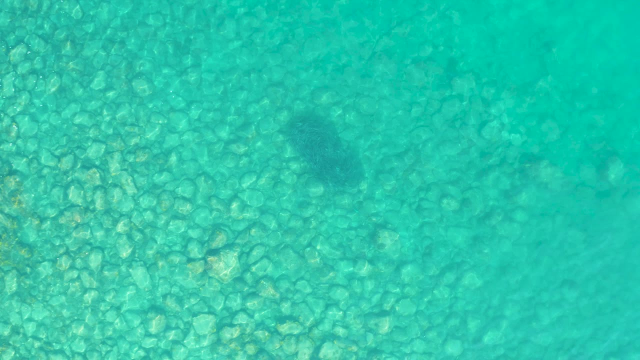 At 0:02 in Los Frailes, the frame shows turquoise water, a dense field of pale rocks, and a small dark fish near the top right with no visible people.