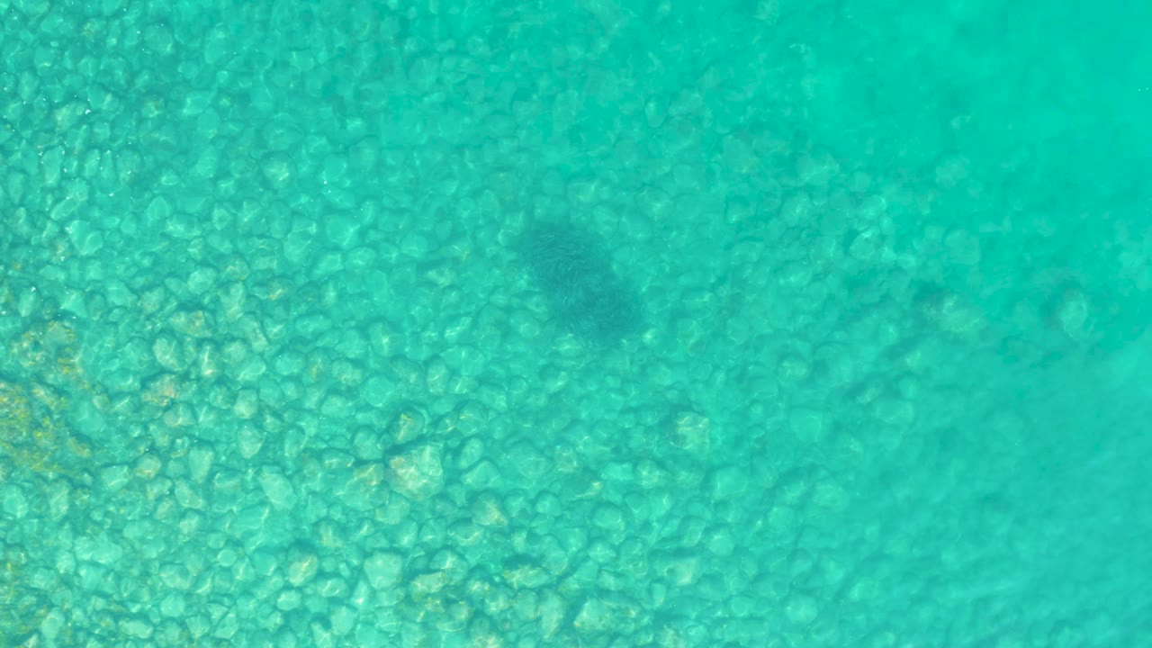 At 0:03, the overhead Los Frailes view shows the small fish lower in the frame above the pebbly sea bottom, with no visible people or objects on the surface.