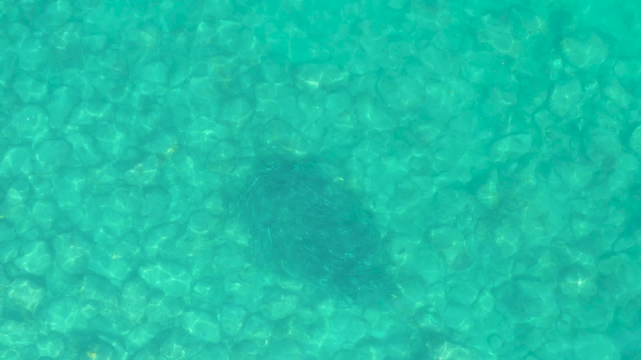 At Los Frailes in Baja California Sur, clear turquoise water reveals rounded rocks below with a dark underwater shape near the lower left and no visible people.