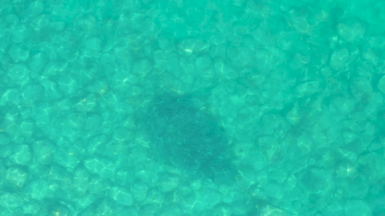 At Los Frailes in Baja California Sur, the turquoise shallows show a rocky bottom and a dark marine animal shape closer to the center, with no visible people.