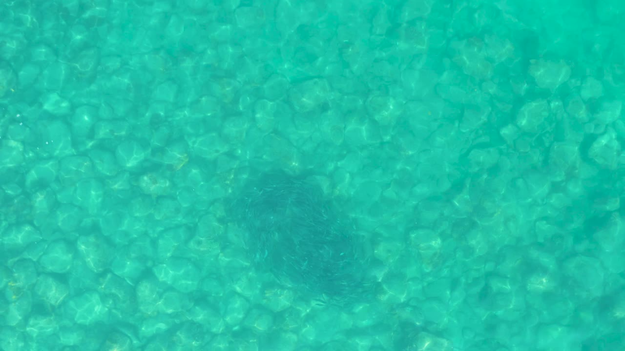 At Los Frailes in Baja California Sur, blue-green water covers the rocky seabed while a dark animal shape sits below the surface near the lower middle, with no visible people.