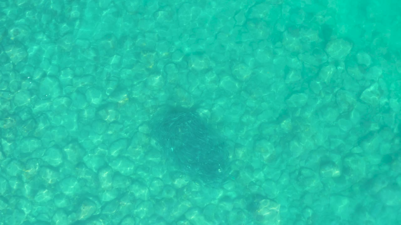 At Los Frailes in Baja California Sur, an overhead view shows a dark likely ray over a field of submerged rocks in turquoise water, with no visible people.