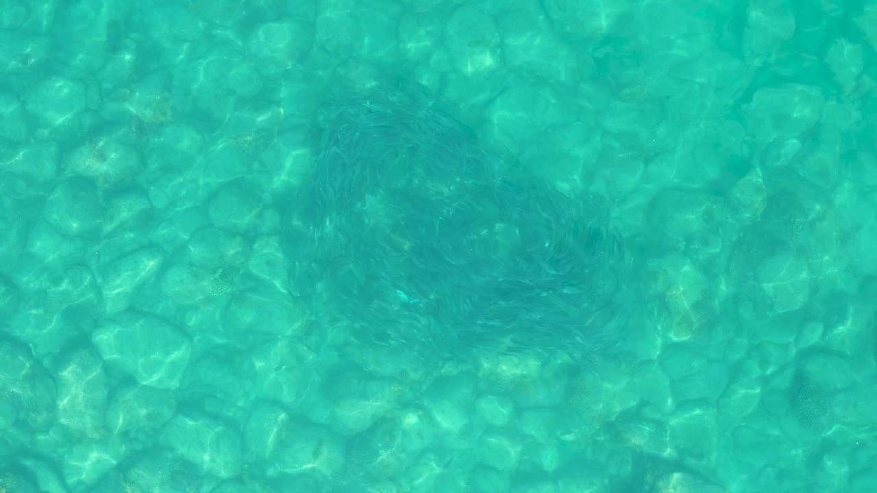 The stingray remains visible below the rippled surface as light shifts across the clear water and stone-covered bottom in Los Frailes, with no visible people.