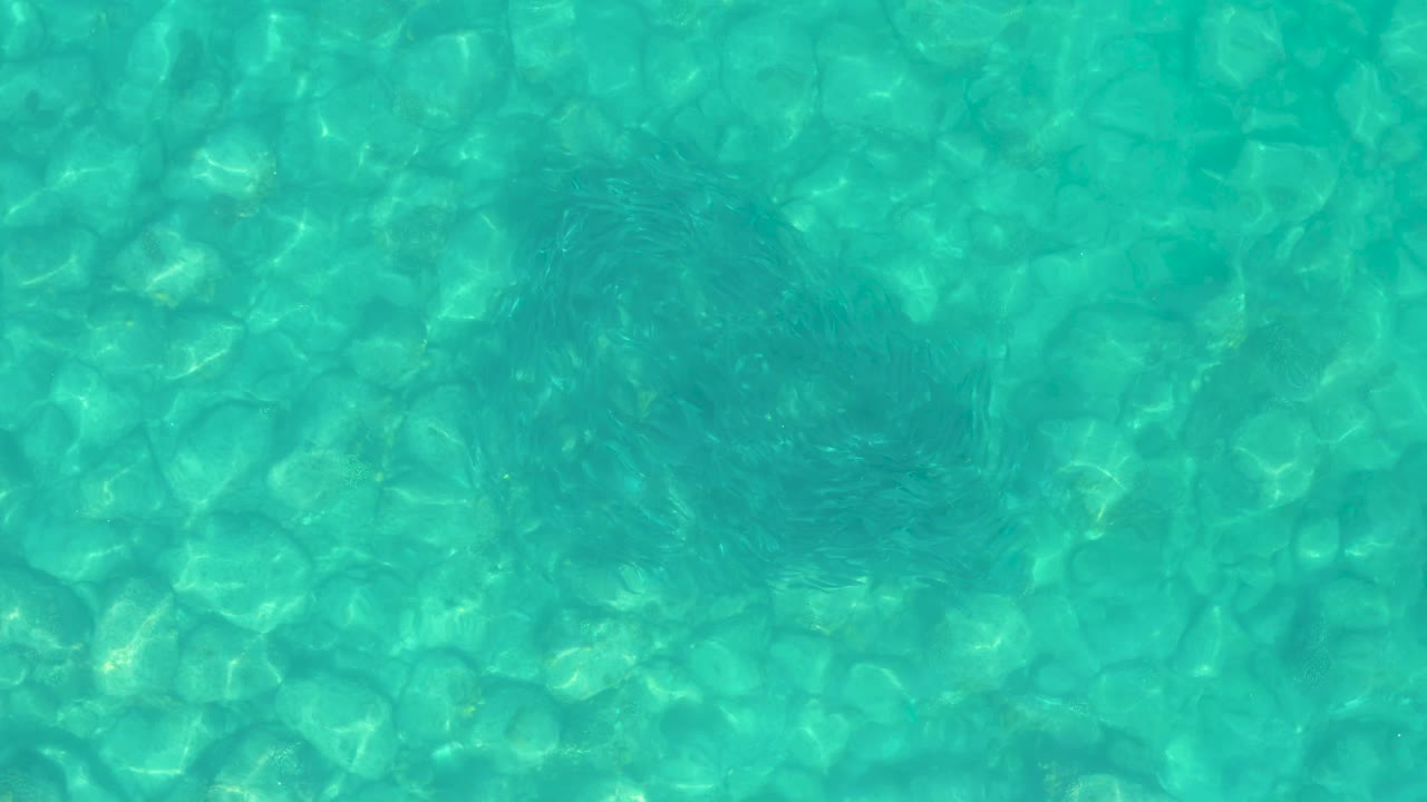 A dark stingray form appears slightly farther across the frame under transparent turquoise water, with the rocky seabed still visible and no visible people.