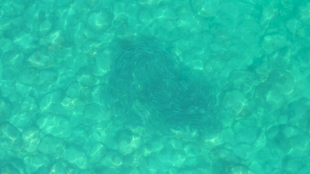 Midway through the clip, the stingray is seen through denser surface ripples over a pale rocky bottom at Los Frailes, with no visible people or vessels.