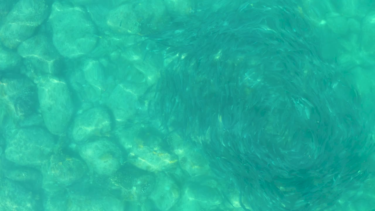 At 0:02, the fish school appears as a dark ring in turquoise water, with rounded rocks visible below in Los Frailes, Mexico, and no visible people.