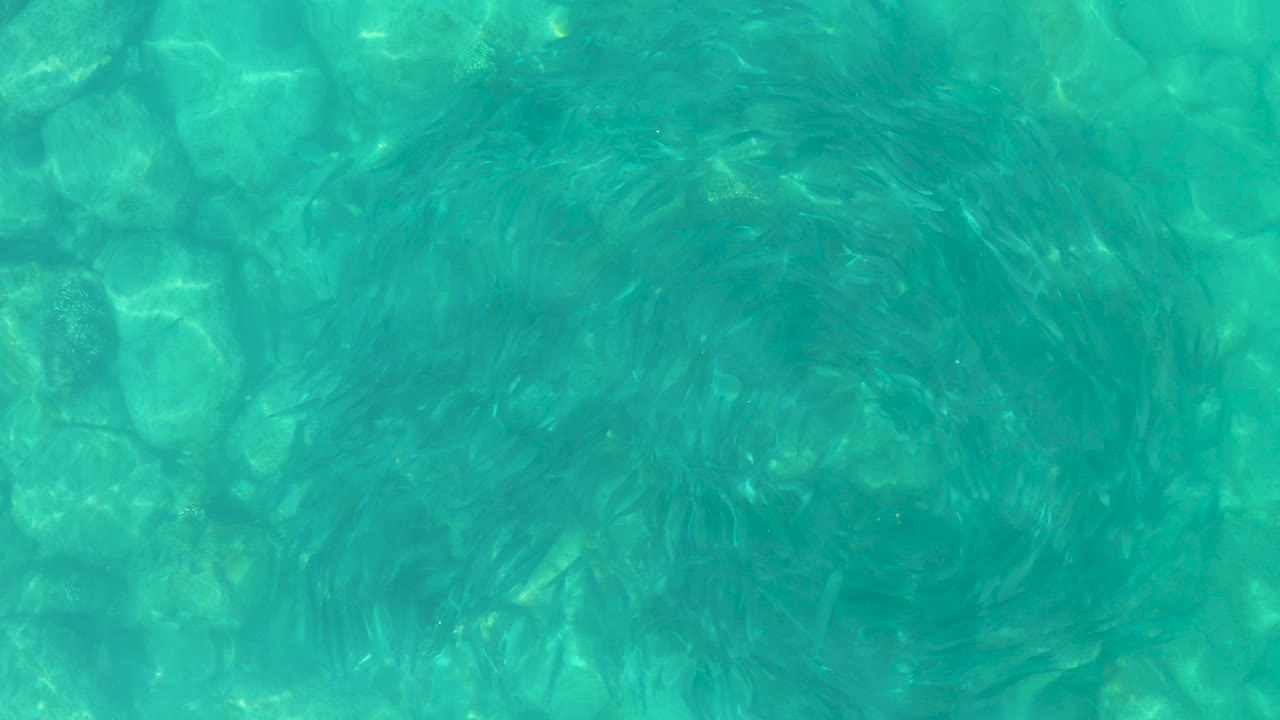 Top-down view of turquoise water in Los Frailes with a circular darker current over a visible stone bottom and no visible people.