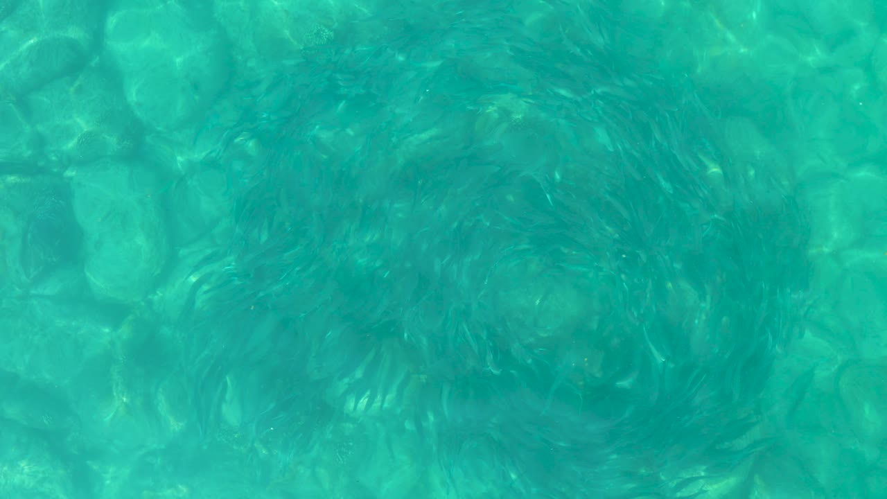 A top-down turquoise water frame from Los Frailes shows the circular current near the middle over a pale rocky bottom and no visible people.